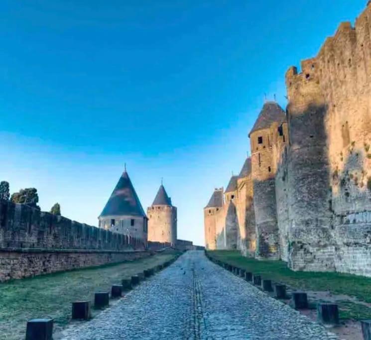 Appartement T2 Avec Vue Chateau Каркассонн Екстер'єр фото